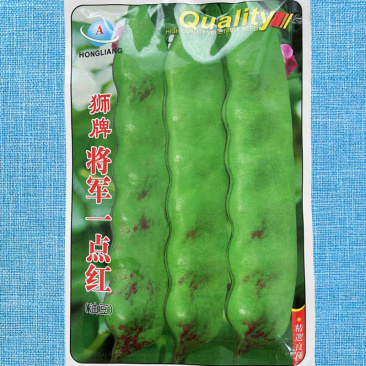 狮牌将军一点红油豆种子红油豆油豆角四季春夏秋冬播豆角种籽