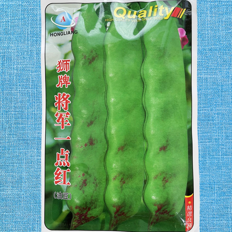 狮牌将军一点红油豆种子红油豆油豆角四季春夏秋冬播豆角种籽