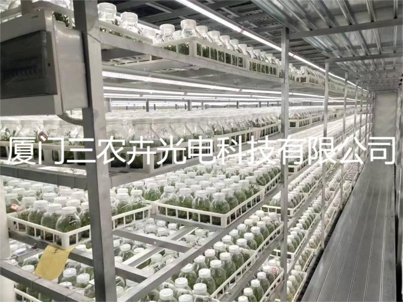 90cm-铁皮石斛组培灯