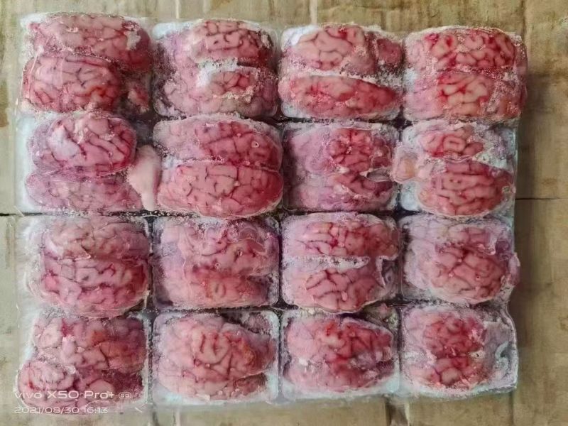 羊脑商用批发净重无冰烧烤火锅新鲜现取真空包装