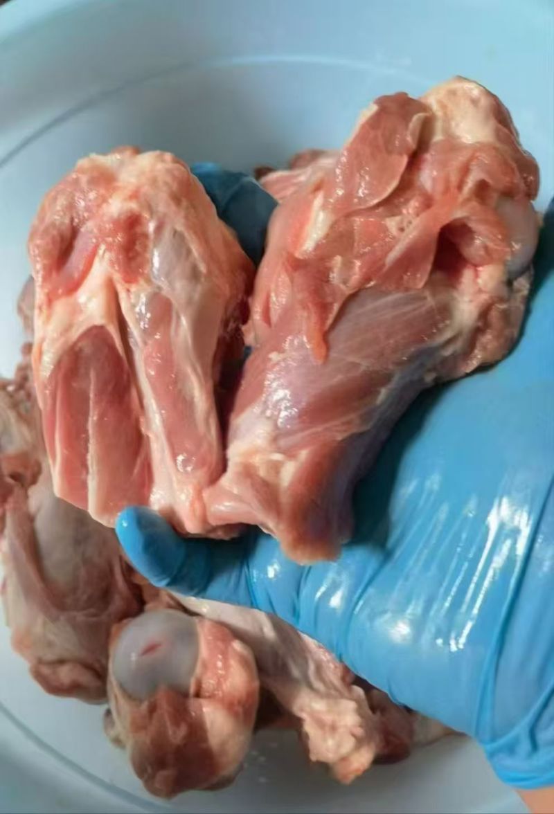 【满肉羊棒骨】炖汤滋补肉多髓满新鲜原切冷链发货
