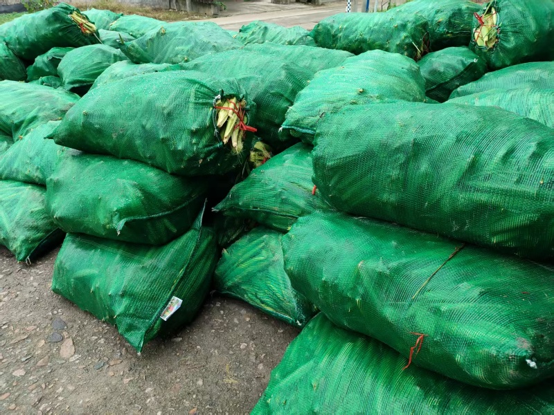 玉米笋产地大量现货，一手货源规格齐全，价格可谈可视频看货