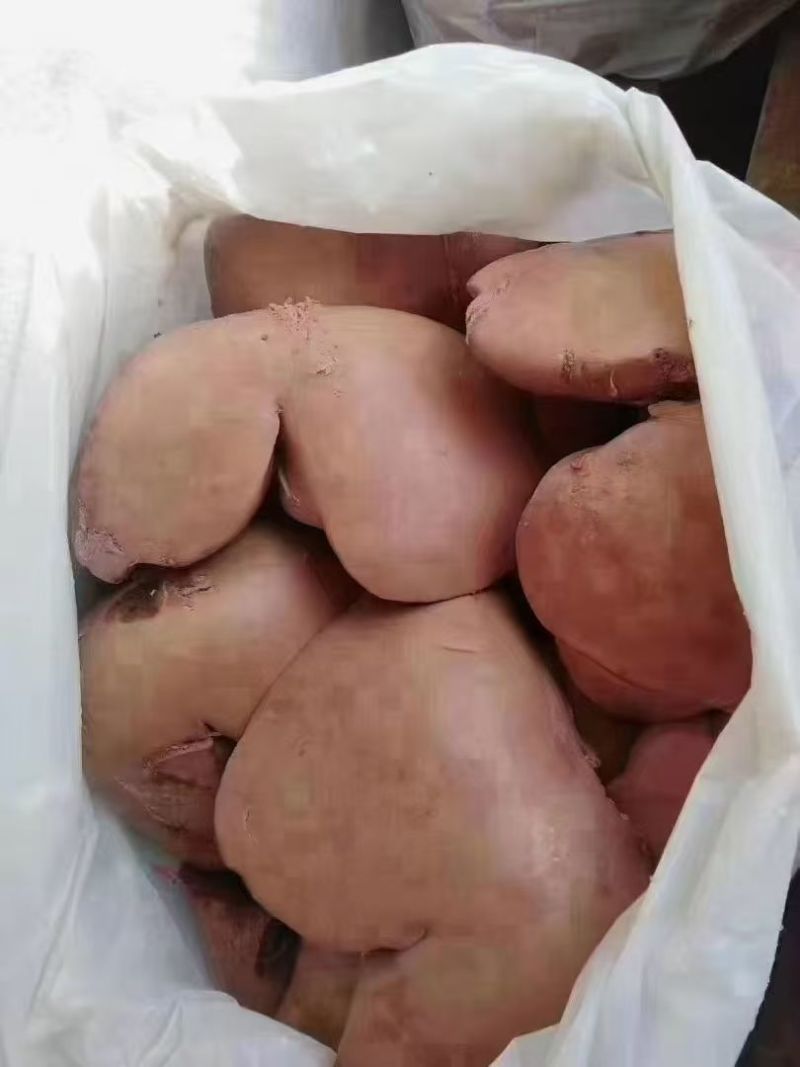 羊肝发货按需包装无添加剂口感软嫩下单