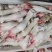 小牛蹄无毛火烧厂家直发质量保证欢迎下单