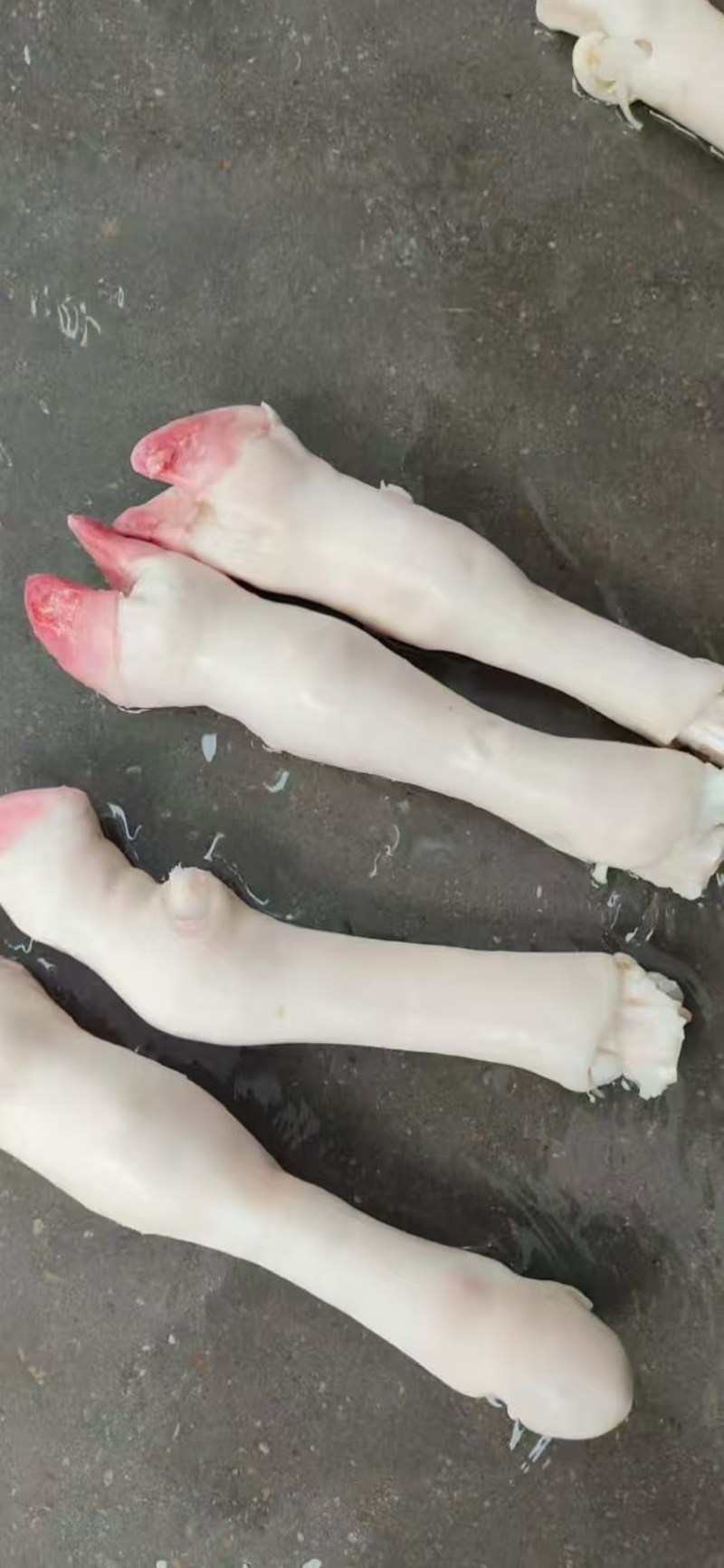 羊蹄干净卫生打包发货按需包装欢迎来电