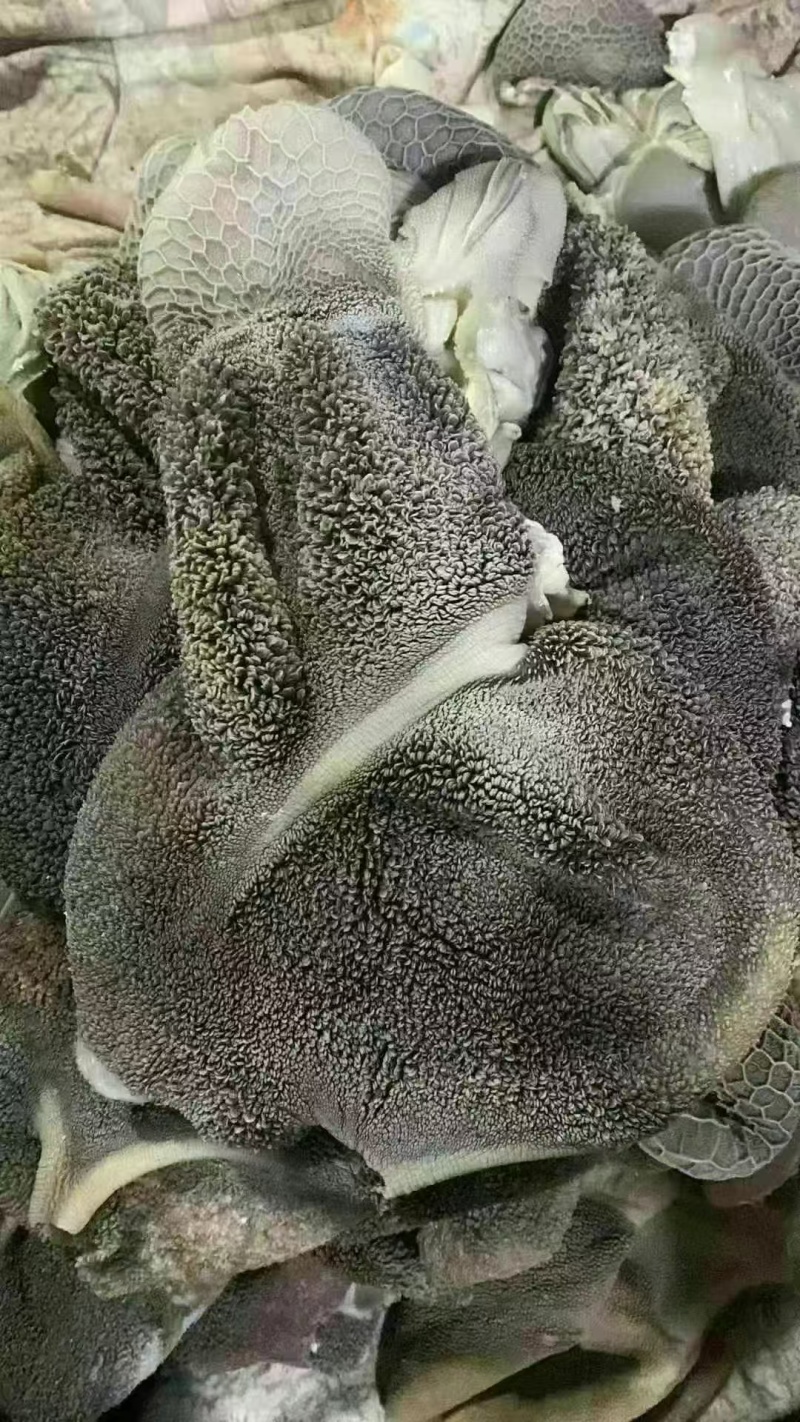 羊毛肚常年有货品质保证欢迎下单诚信买卖