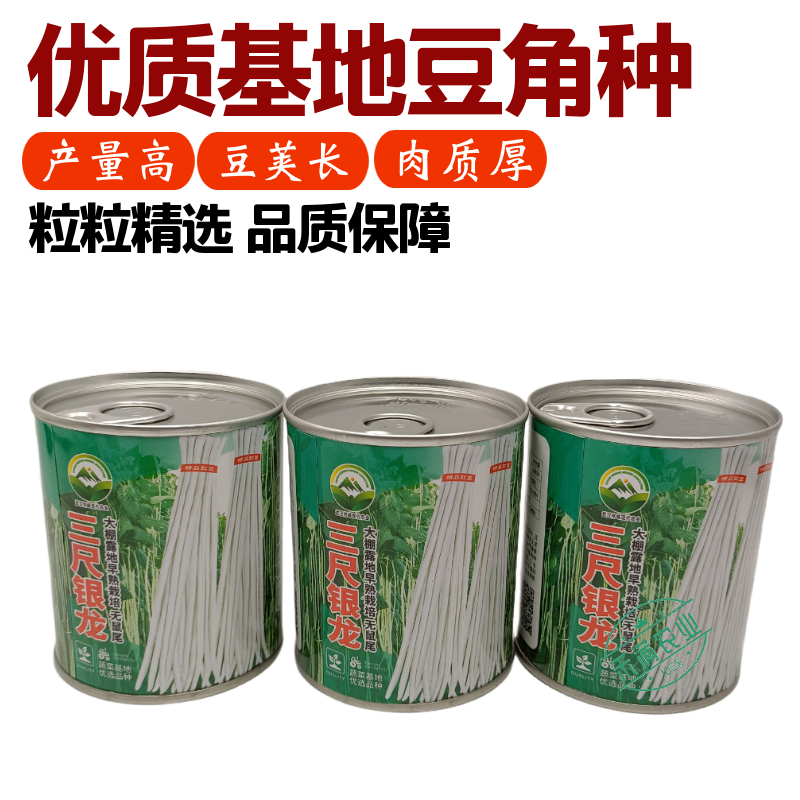 特长豆角种子高产早熟长豇豆角种子白豆角种籽菜园大田春秋播