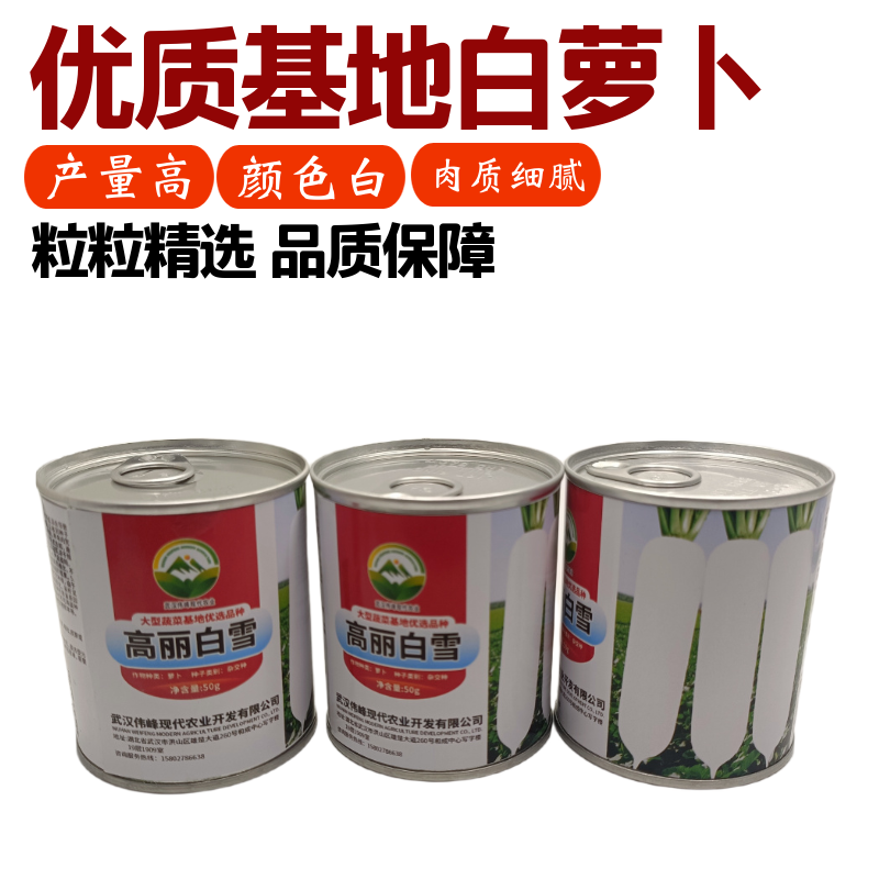 【高丽白雪】基地优选新品种白萝卜种子秋季种植条型好抗病高