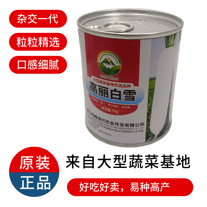 【高丽白雪】基地优选新品种白萝卜种子秋季种植条型好抗病高