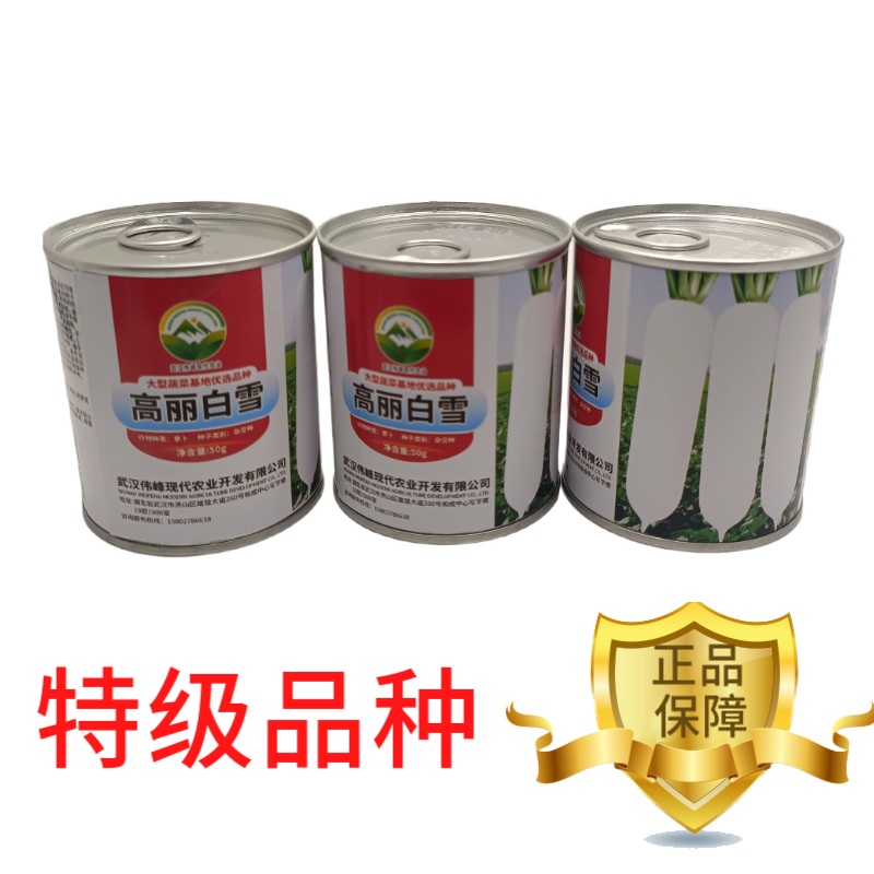 【高丽白雪】基地优选新品种白萝卜种子秋季种植条型好抗病高
