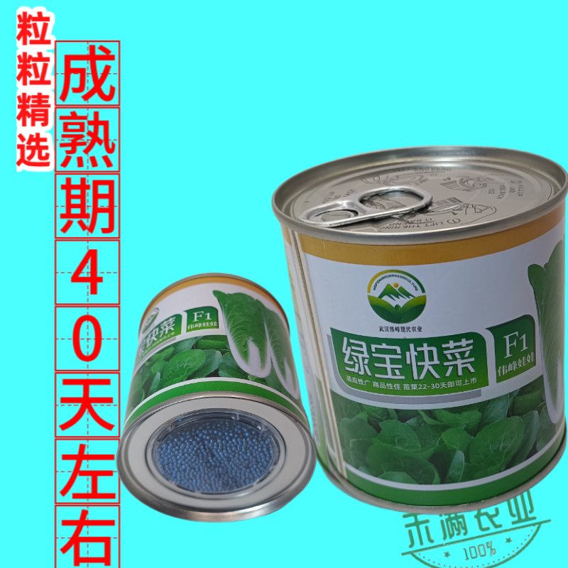 快菜奶油高产室外成熟耐高温耐湿速生小白菜青菜蔬菜种大全四