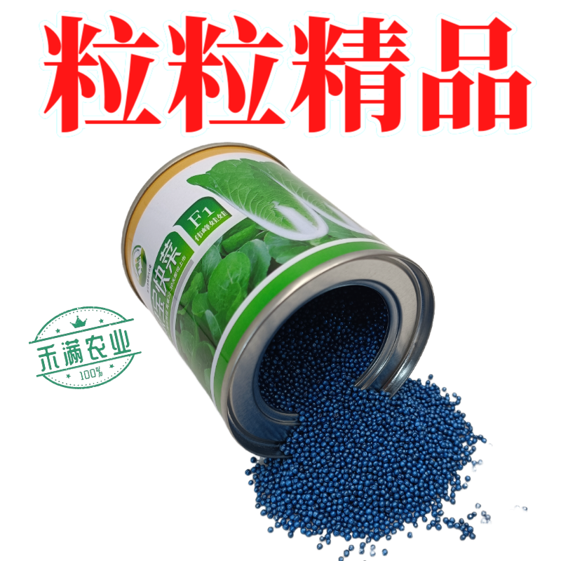 快菜奶油高产室外成熟耐高温耐湿速生小白菜青菜蔬菜种大全四