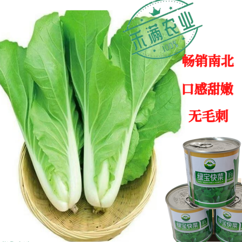 快菜奶油高产室外成熟耐高温耐湿速生小白菜青菜蔬菜种大全四