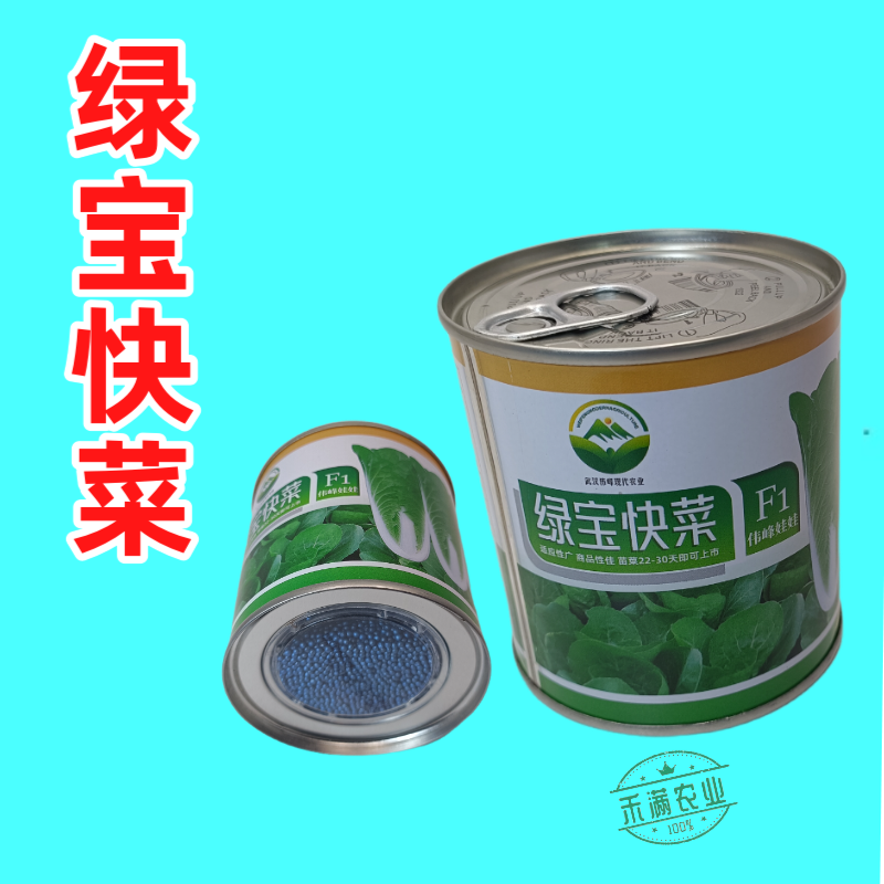 快菜奶油高产室外成熟耐高温耐湿速生小白菜青菜蔬菜种大全四