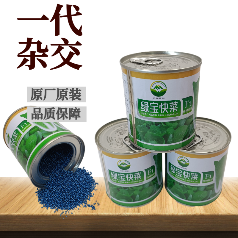 快菜奶油高产室外成熟耐高温耐湿速生小白菜青菜蔬菜种大全四