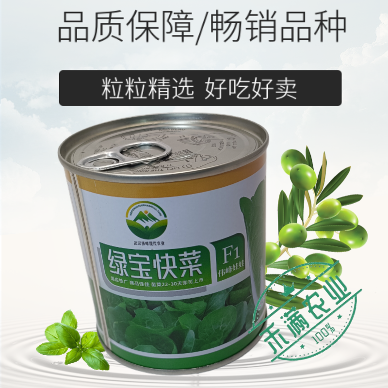 快菜奶油高产室外成熟耐高温耐湿速生小白菜青菜蔬菜种大全四