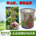 大型基地品种正宗红菜苔原装早熟湖北紫菜苔种籽秋季抗病耐寒
