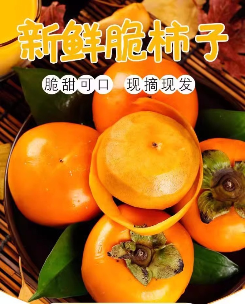 云南巧克力脆柿一件代发产地直发一手货源对接各大电商平台