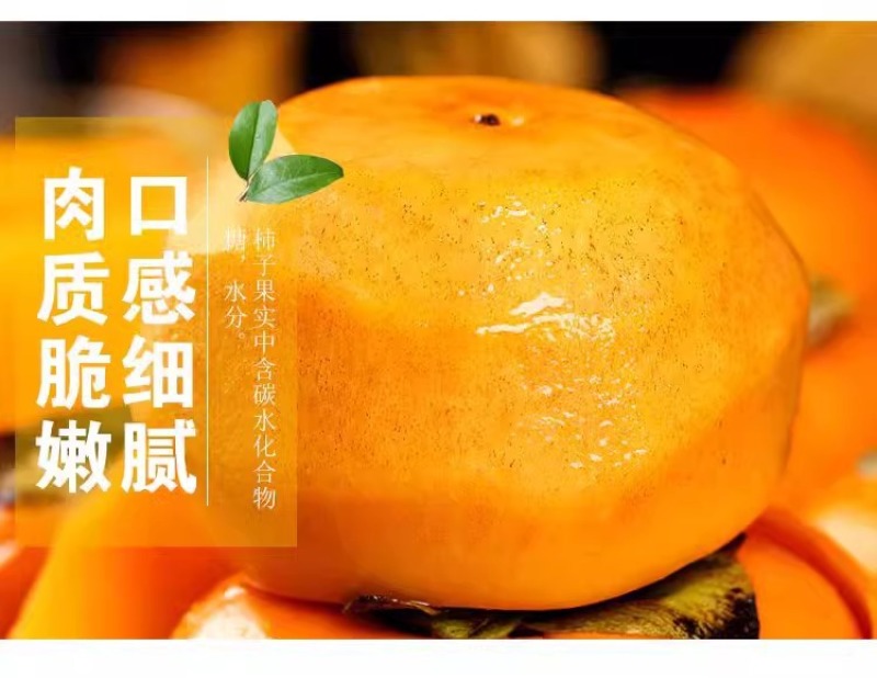 云南巧克力脆柿一件代发产地直发一手货源对接各大电商平台