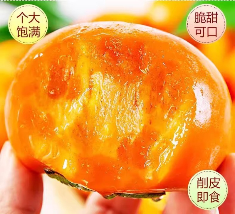 云南巧克力脆柿一件代发产地直发一手货源对接各大电商平台
