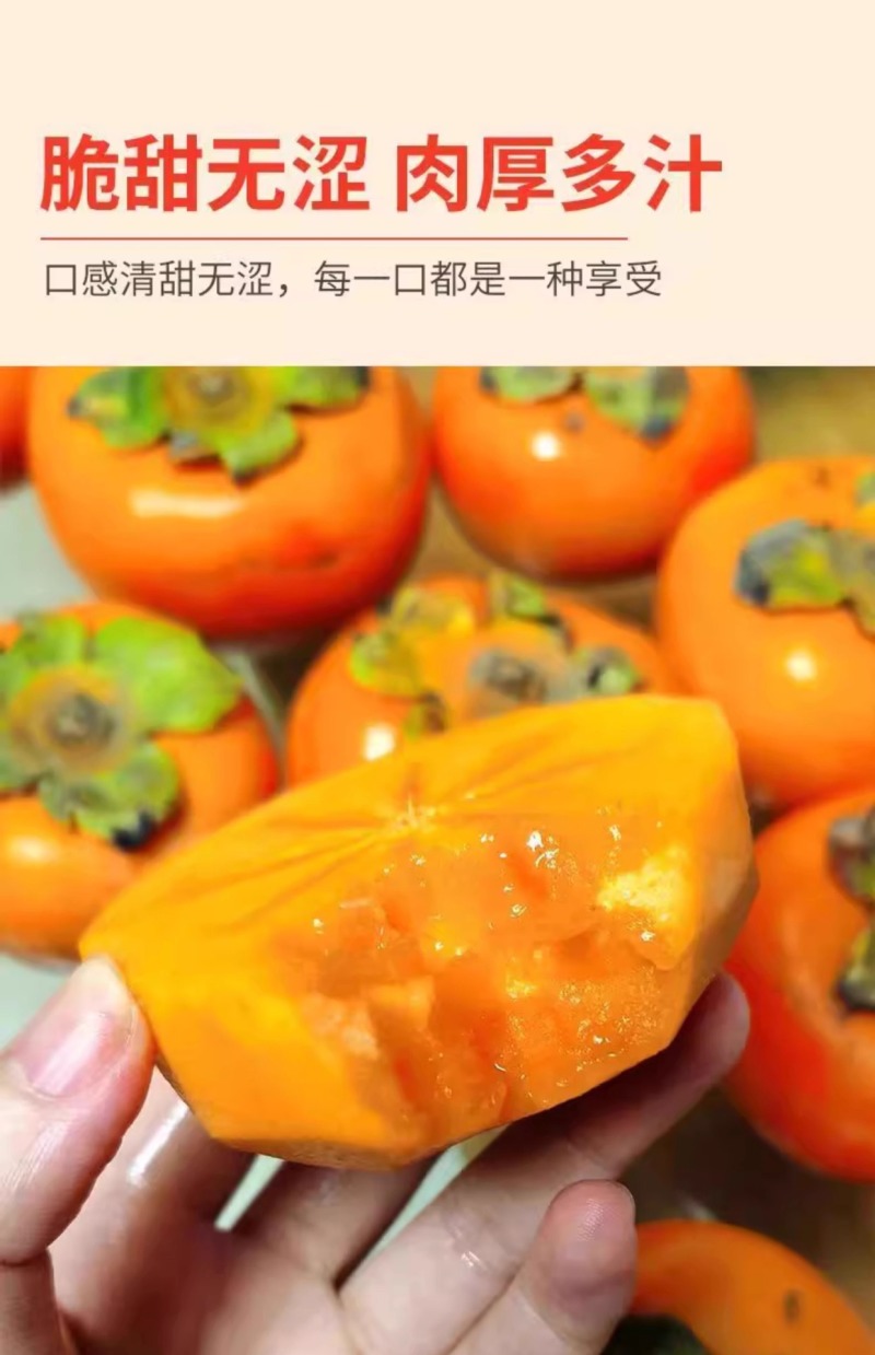 云南巧克力脆柿一件代发产地直发一手货源对接各大电商平台