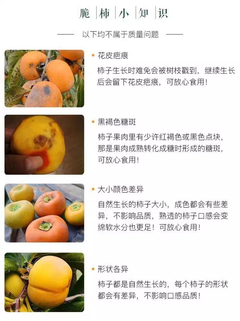 云南巧克力脆柿一件代发产地直发一手货源对接各大电商平台