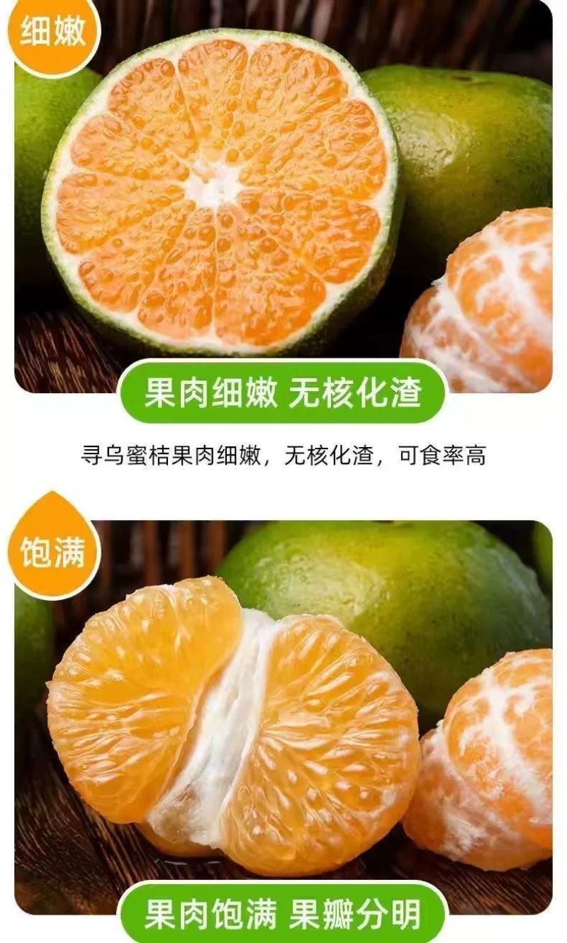 江西赣南寻乌蜜桔一件代发产地直发一手货源对接各大电商平台