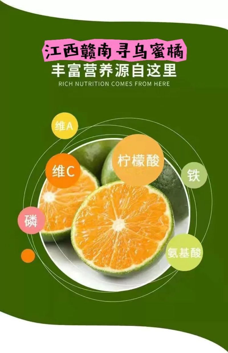 江西赣南寻乌蜜桔一件代发产地直发一手货源对接各大电商平台