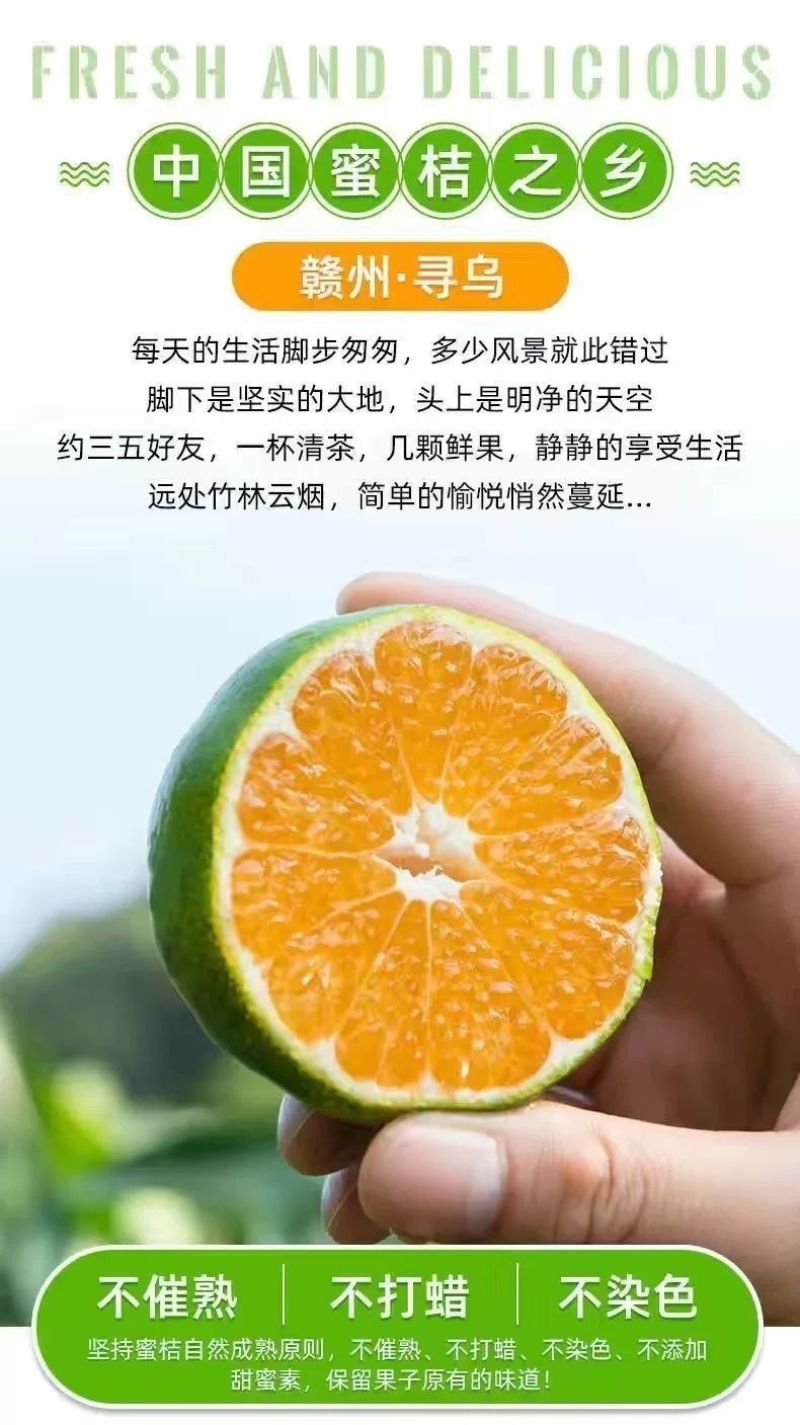 江西赣南寻乌蜜桔一件代发产地直发一手货源对接各大电商平台