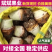 【基地直发】香芋个头饱满，口感细腻光滑，品质保证