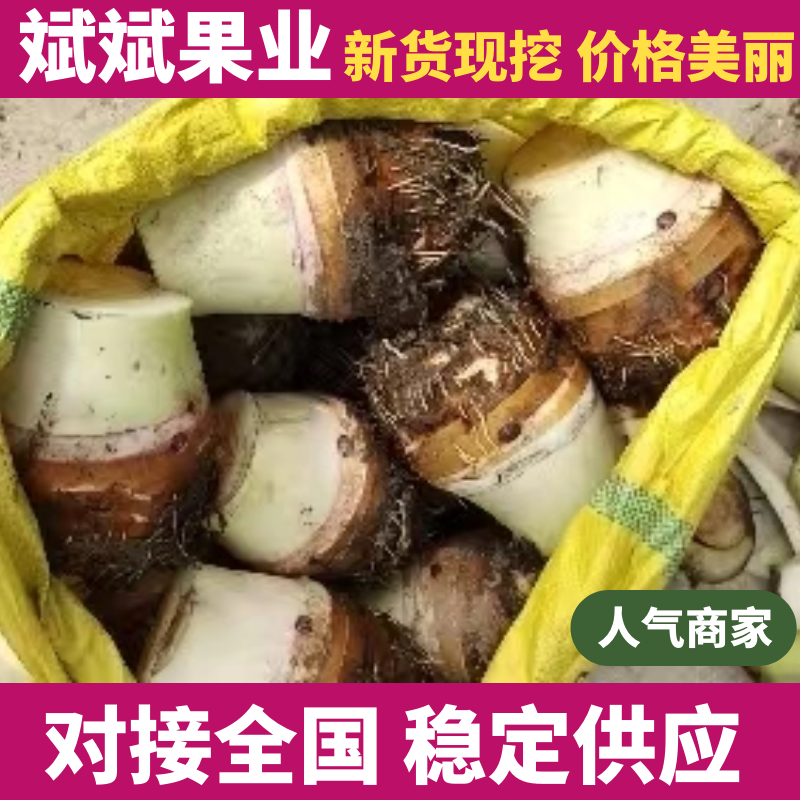 【基地直发】香芋个头饱满，口感细腻光滑，品质保证