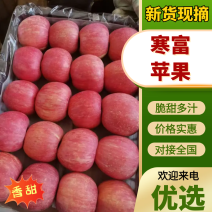 寒富苹果品质保证量大从优支持视频看货选货