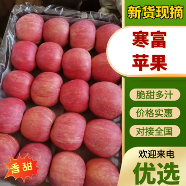寒富苹果品质保证量大从优支持视频看货选货