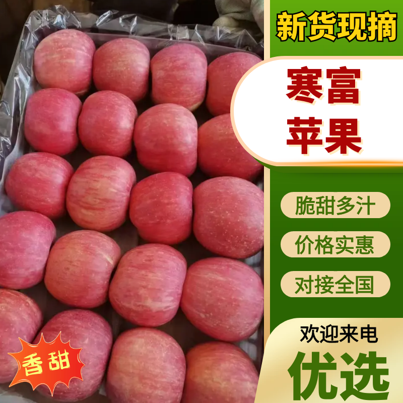 寒富苹果品质保证量大从优支持视频看货选货