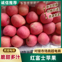 辽宁苹果红富士苹果基地直发诚信经营质优价廉