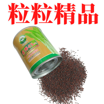 【名秀45】基地早熟罐装优良白菜苔种子多茬采收正品原装