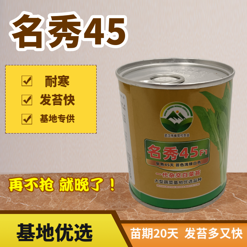 【名秀45】基地早熟罐装优良白菜苔种子多茬采收正品原装