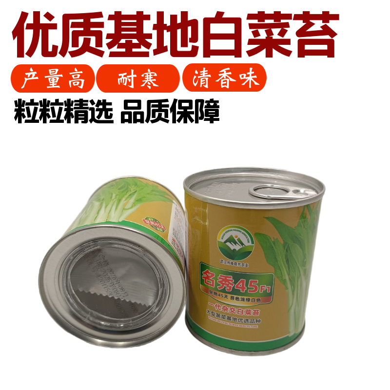 【名秀45】基地早熟罐装优良白菜苔种子多茬采收正品原装