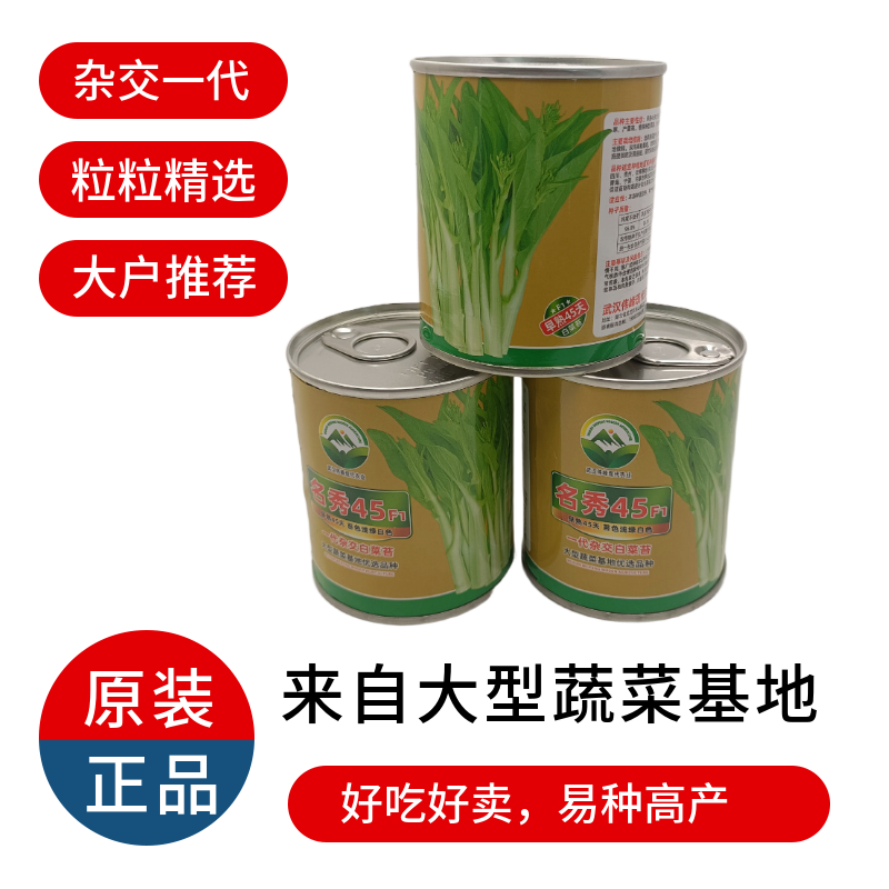 【名秀45】基地早熟罐装优良白菜苔种子多茬采收正品原装