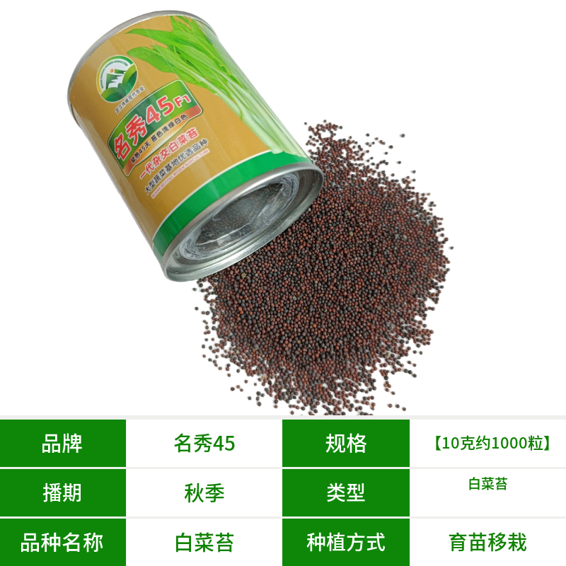 【名秀45】基地早熟罐装优良白菜苔种子多茬采收正品原装