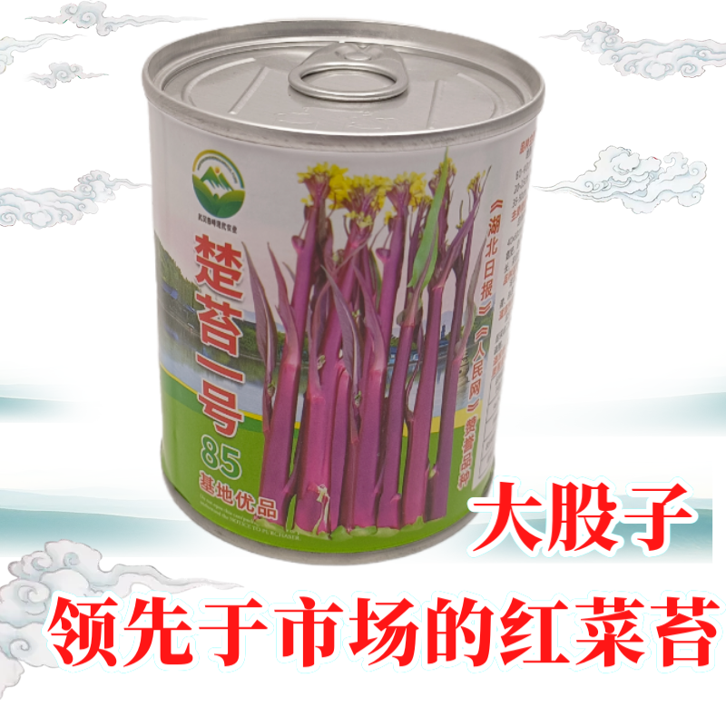 领先市场正宗红菜苔种子大股子紫菜苔种籽晚熟秋季抗病面耐寒