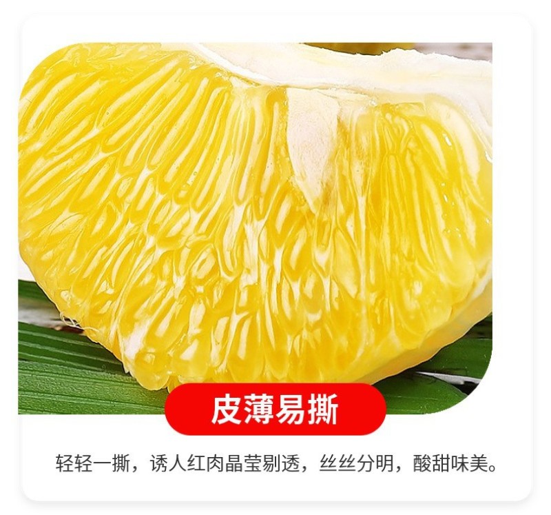 福建葡萄柚一件代发产地直发一手货源对接各大电商平台