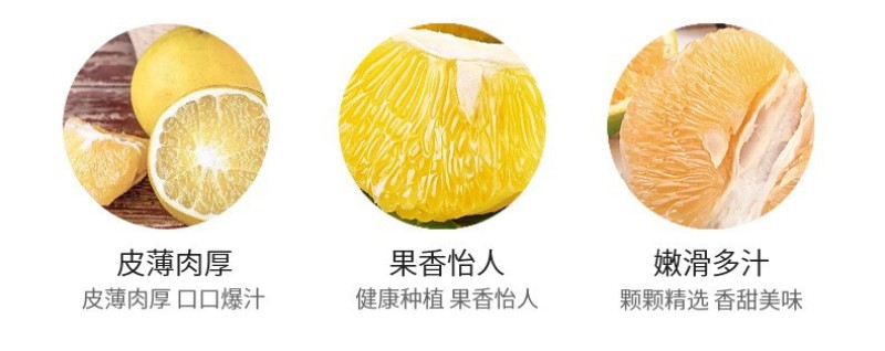 福建葡萄柚一件代发产地直发一手货源对接各大电商平台