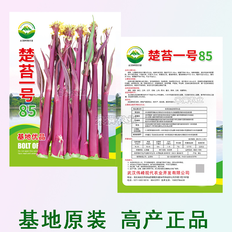 正宗红菜苔种子楚苔一号大粗股洪山菜薹种籽特级亮红紫红耐寒