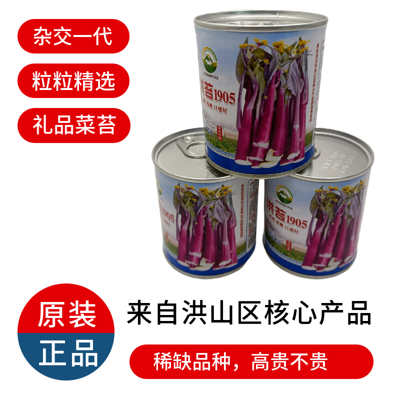 【洪苔1905】基地优选正宗湖北武汉洪山菜苔种子粗苔子抗