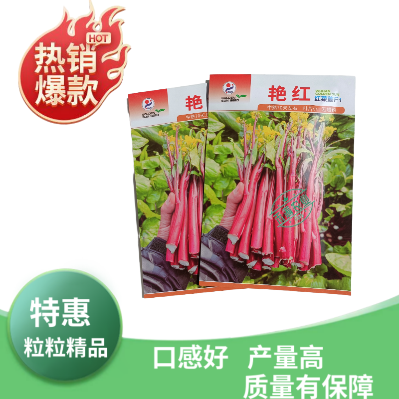 【金阳艳红】小叶亮红基地菜农专用红菜苔正宗武汉红菜苔耐寒