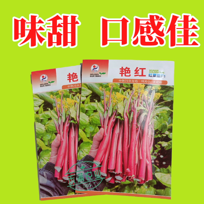【金阳艳红】小叶亮红基地菜农专用红菜苔正宗武汉红菜苔耐寒