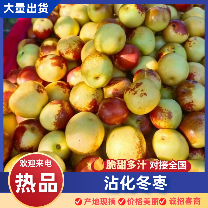 沾化冬枣大量现货，代收代存，代发，物流发货，单车，一件代