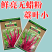【文鼎菜苔】洪山紫薹基地菜农专用红菜苔正宗武汉红菜苔粗苔