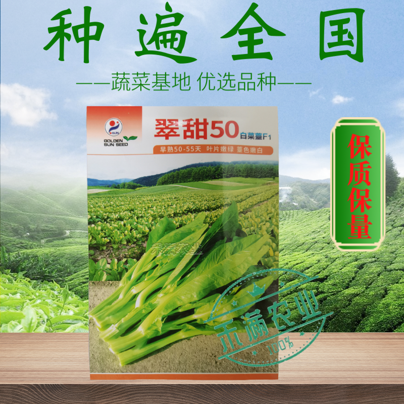 基地优品翠甜白菜苔种籽50天60天70天白菜苔种子籽耐寒